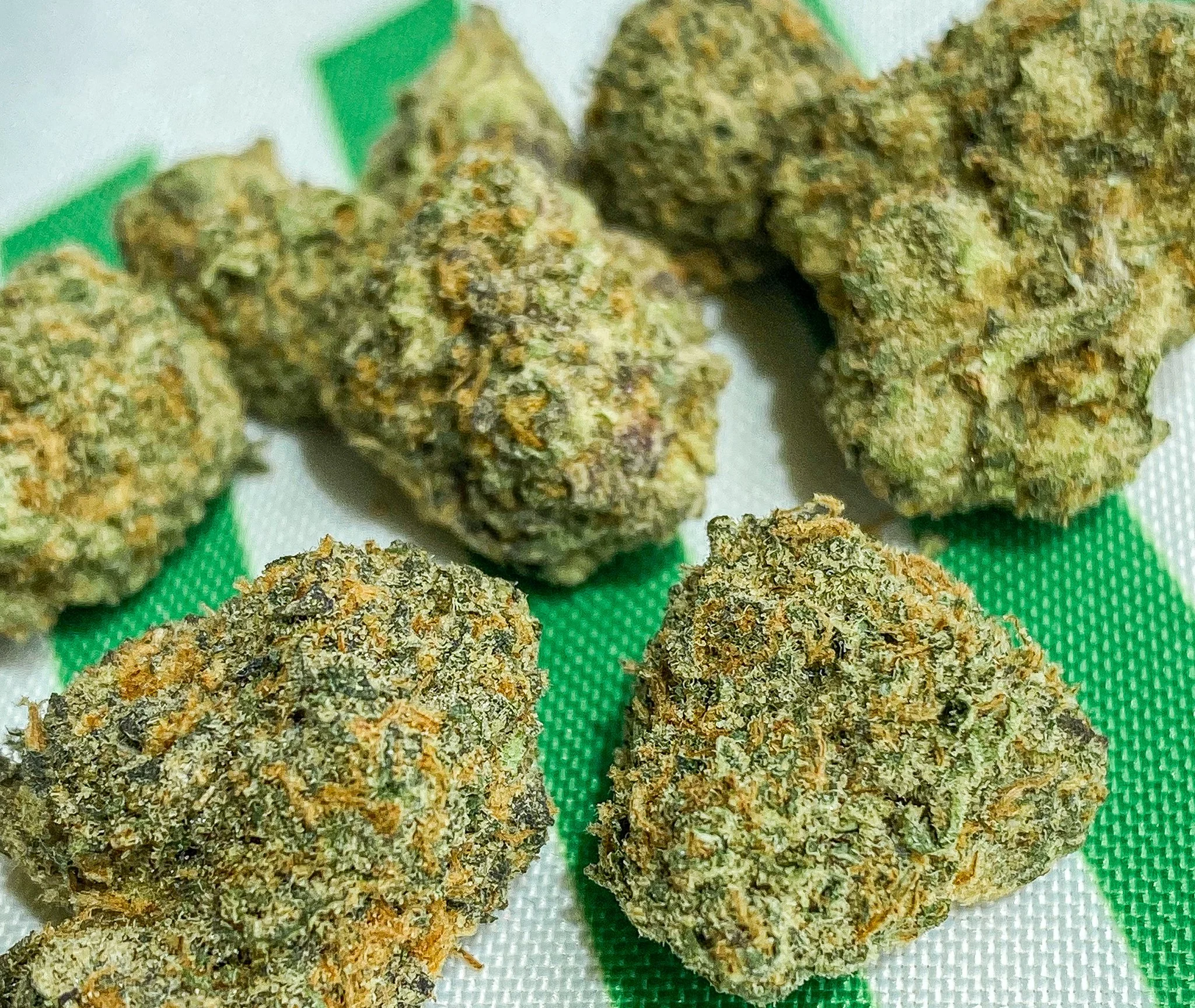 Panna Cotta Spotlight Lucky Chuckie Strain Information